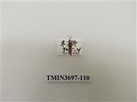 藏品(膜翅目(蜂))的圖片